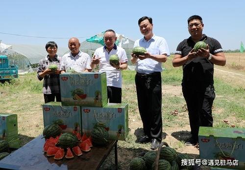 小九吃瓜事件视频大全,视频大全揭秘网络热点背后的真相