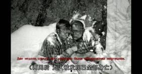 岚山吃瓜事件真相视频大全,揭秘真相背后的视频大全