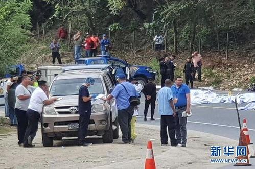 岚山吃瓜事件真相视频大全,揭秘真相背后的视频大全