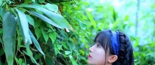 李子柒吃八月瓜的视频,穿越时空的八月瓜美味之旅