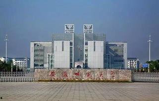 安阳师范学院吃瓜视频,校园生活趣味瞬间大揭秘