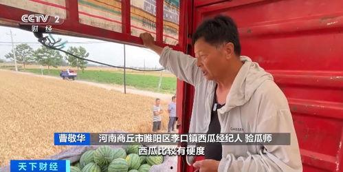 项城市吃瓜视频,揭秘当地美食文化盛宴
