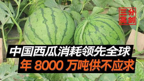 网上求视频吃瓜,吃瓜群众围观视频，揭秘幕后故事