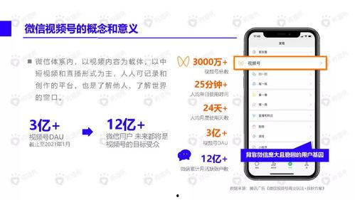 吃瓜网红翻车视频下载安装,下载安装视频背后的真相揭秘