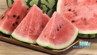 海南吃瓜视频,揭秘热带风情下的美食盛宴