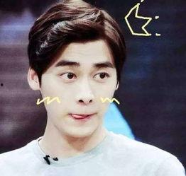 吃瓜主播李易峰是谁啊视频,他是谁？