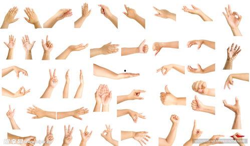 吃瓜手势动作怎么做视频,轻松制作趣味短视频教程