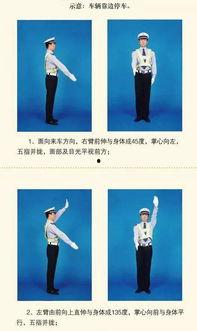 吃瓜手势动作怎么做视频,轻松制作趣味短视频教程