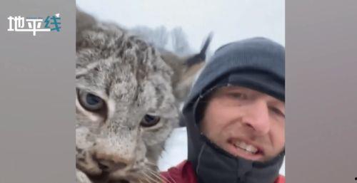 山猫学姐吃瓜视频,娱乐圈幕后真相大曝光