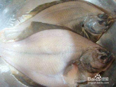 带你吃大瓜比目鱼视频,带你品尝海洋美味