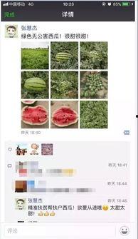 微信朋友圈发吃瓜视频,揭秘娱乐圈最新热点事件