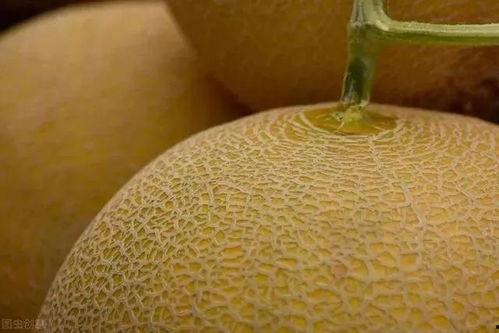 哈密瓜这样吃才甜吗视频,这样吃，甜到心里！