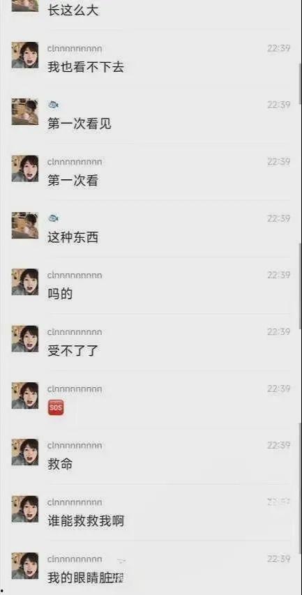 吃瓜甜美大学生视频在线播放,揭秘吃瓜甜美大学生在线直播幕后故事