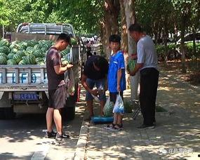 金乡吃瓜群众新闻视频,最新新闻视频揭秘事件真相