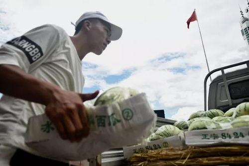 谢谢吃瓜群众视频怎么说,揭秘“谢谢吃瓜群众”视频背后的故事