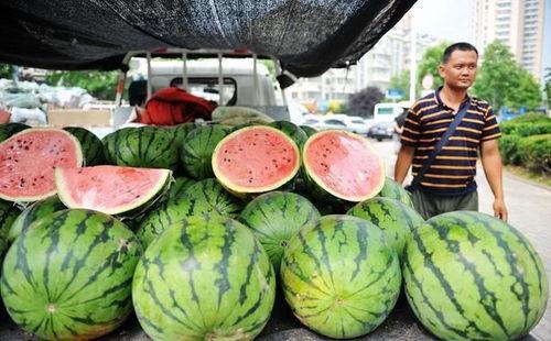 买瓜老板吃瓜视频大全,揭秘买瓜老板吃瓜视频大全背后的趣味人生
