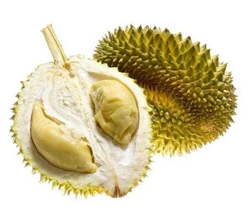 榴莲生瓜能吃吗怎么吃视频,轻松掌握生吃榴莲技巧