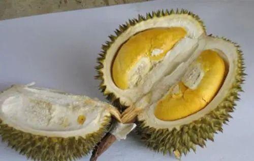 榴莲生瓜能吃吗怎么吃视频,轻松掌握生吃榴莲技巧