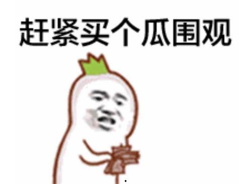 吃瓜群众洗头视频下载,吃瓜群众如何轻松下载