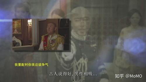 探长吃瓜大师视频大全集,揭秘娱乐圈幕后真相的惊险旅程