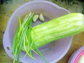 水瓜炒袖珍菇可以吃吗视频,家常美味营养搭配视频教程