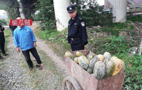 任县吃瓜事件小孩视频,小孩视频引发社会关注