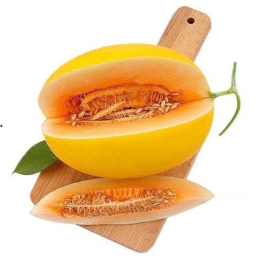 嘉鹅吃羊角蜜瓜的视频,趣味吃瓜大作战！