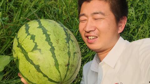云南丽江小伙吃瓜事件视频,一场网络热议的瓜田奇遇
