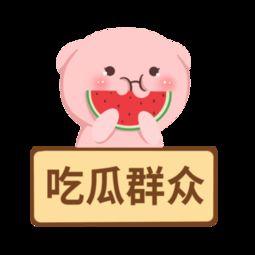 吃瓜群众本人的视频素材,一场视频素材的狂欢盛宴