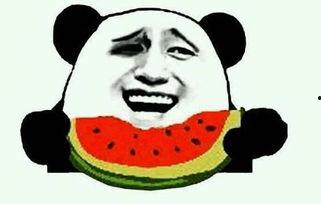 陈春秀吃瓜视频大全下载,趣味瞬间，笑料连连