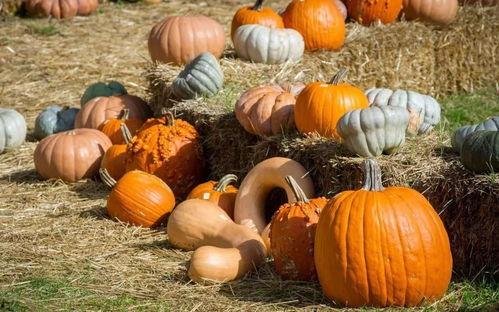 平安夜群众吃瓜视频,街头热辣视频曝光，民众欢聚共享欢乐时光