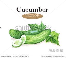 吃瓜现场插画素材视频,插画素材视频中的趣味瞬间