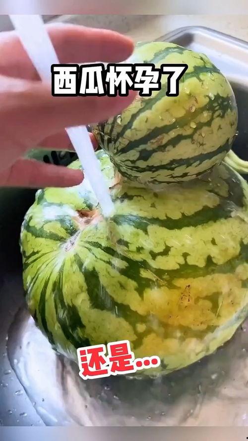 吃绿瓜搞笑视频大全集,搞笑视频大全集欢乐盘点