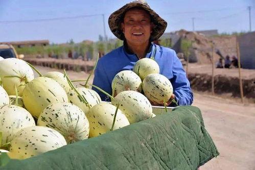 甘肃最近吃瓜事件视频