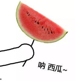 小白瓜怎样掰头吃视频