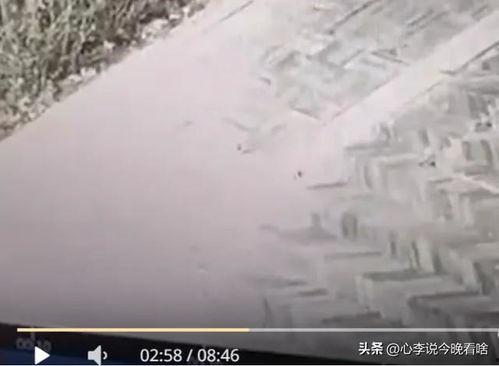 兰州老街吃瓜爆料视频,吃瓜爆料视频揭秘街头美食风情