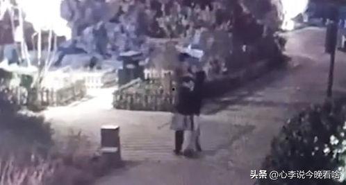 兰州老街吃瓜爆料视频,吃瓜爆料视频揭秘街头美食风情