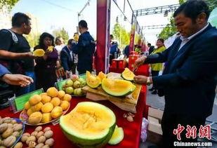 四川最新吃瓜新闻视频,揭秘网红事件背后的真相