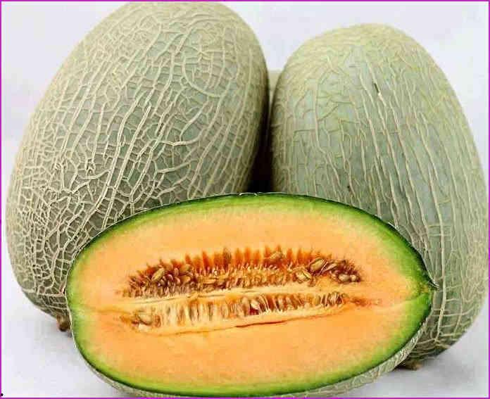 小鸡吃哈密瓜会死吗视频