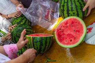 吃瓜解析视频,带你领略幕后真相与趣味瞬间