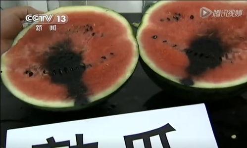 日本吃瓜视频,揭秘网红美食背后的故事