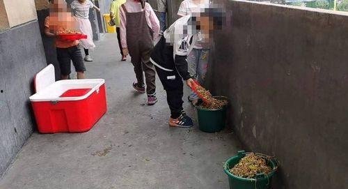 在垃圾桶捡烂瓜吃的视频,烂瓜变美味，共享城市温情一幕