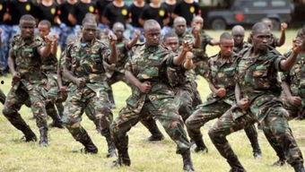 浙江东方教官吃瓜视频,揭秘军营生活幕后趣闻