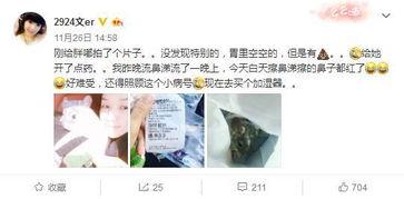 粉丝曝光主播吃瓜视频在线观看,主播吃瓜视频，带你一探究竟