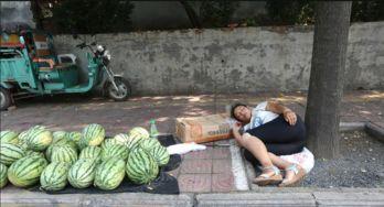 砀山县吃瓜事件真相视频,揭秘背后真相与争议